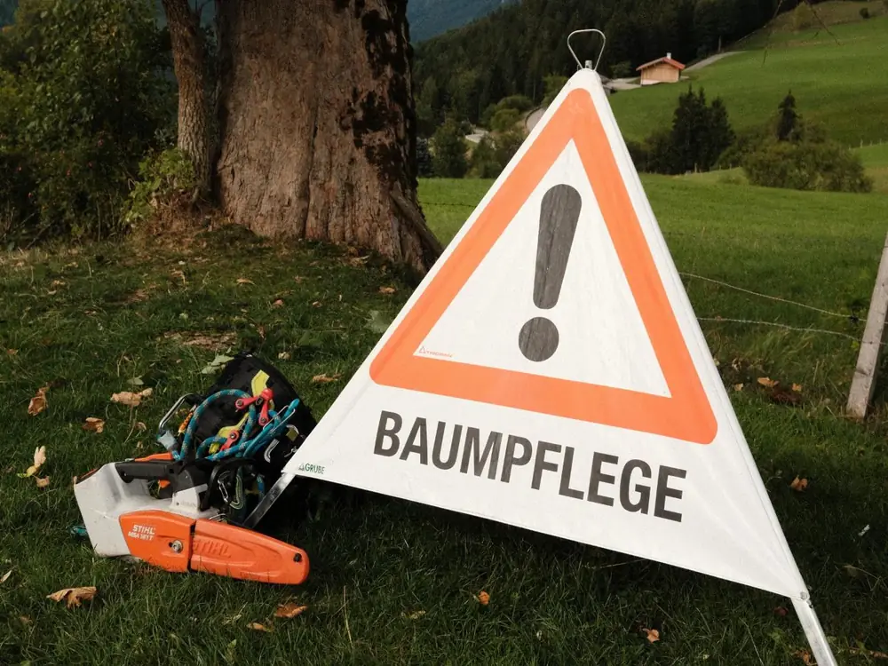 Baumpflege