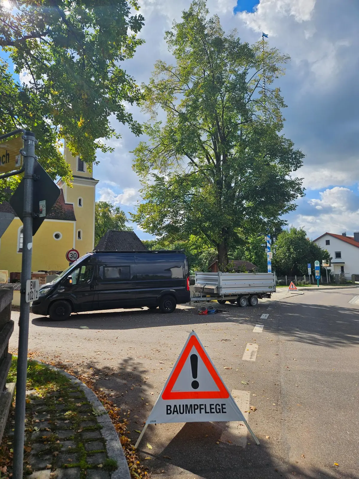Baumpflege