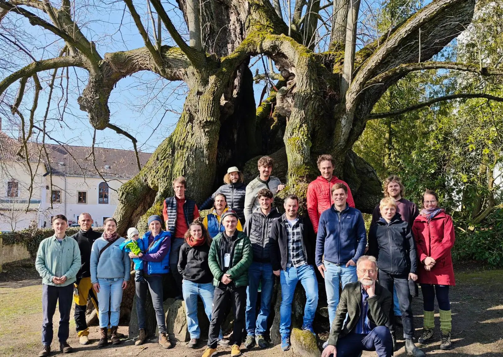 ArBoR:Net – Teamtreffen an einer alten Eiche